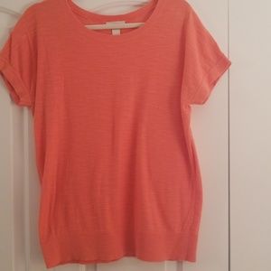 Loft Short Sleeve Sweater